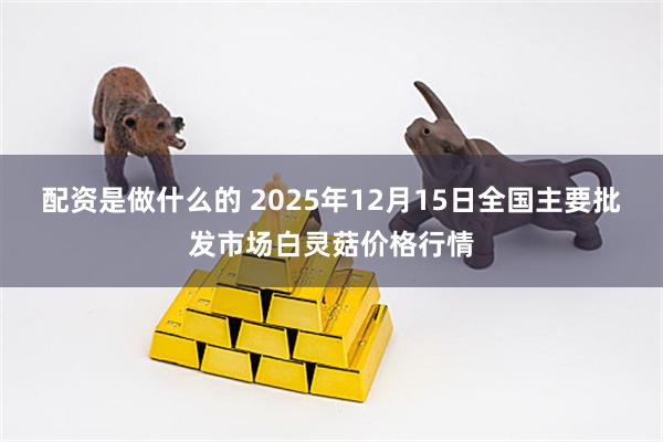 配资是做什么的 2025年12月15日全国主要批发市场白灵菇价格行情