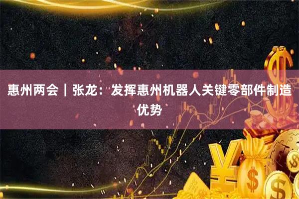 惠州两会｜张龙：发挥惠州机器人关键零部件制造优势